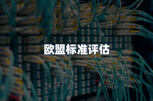 欧盟标准评估
